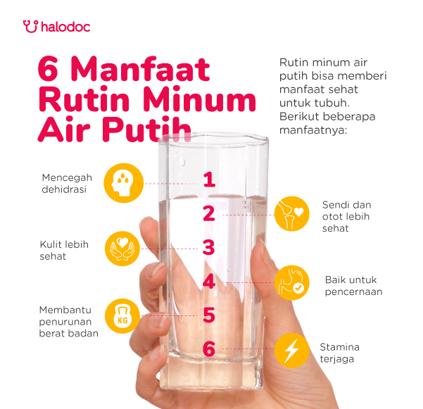 Manfaat Minum Air Putih: Meningkatkan Kesehatan dan Kualitas Hidup
